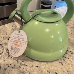 Stainless Steel Tea Kettle