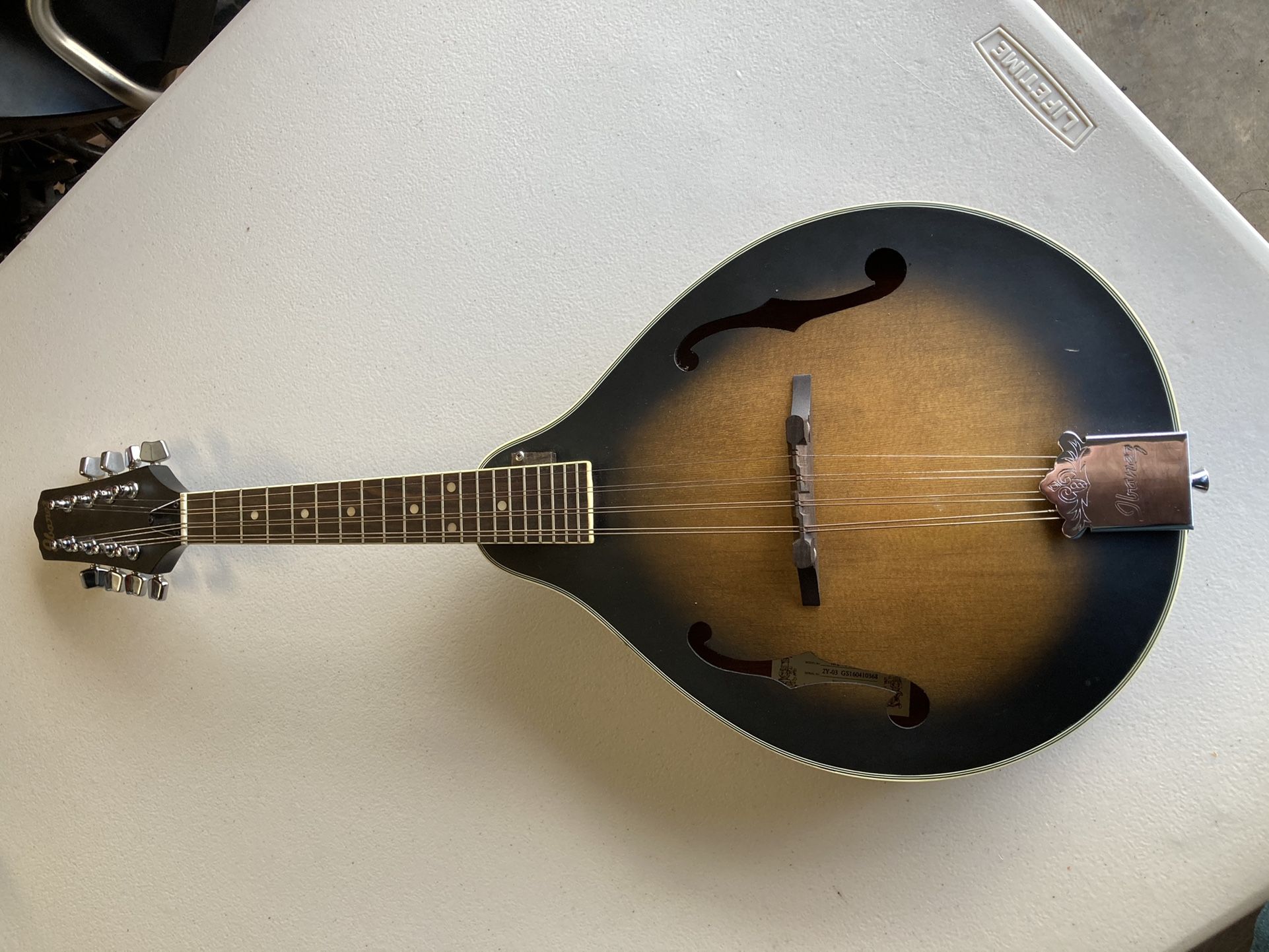 Mandolin
