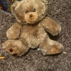 Tampa Rays teddy bear