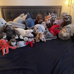 Big Stuffed Animal Collection