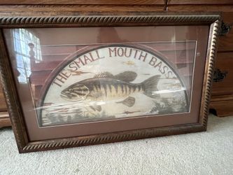 Art Framed Picture Of Fish