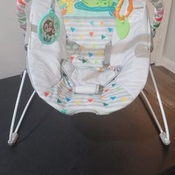 Bright Starts Baby Bouncer