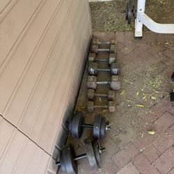 Dumbbells And Plates with Tricep Rope Pulldown 