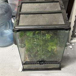 Reptile cage