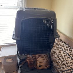 Dog kennel 