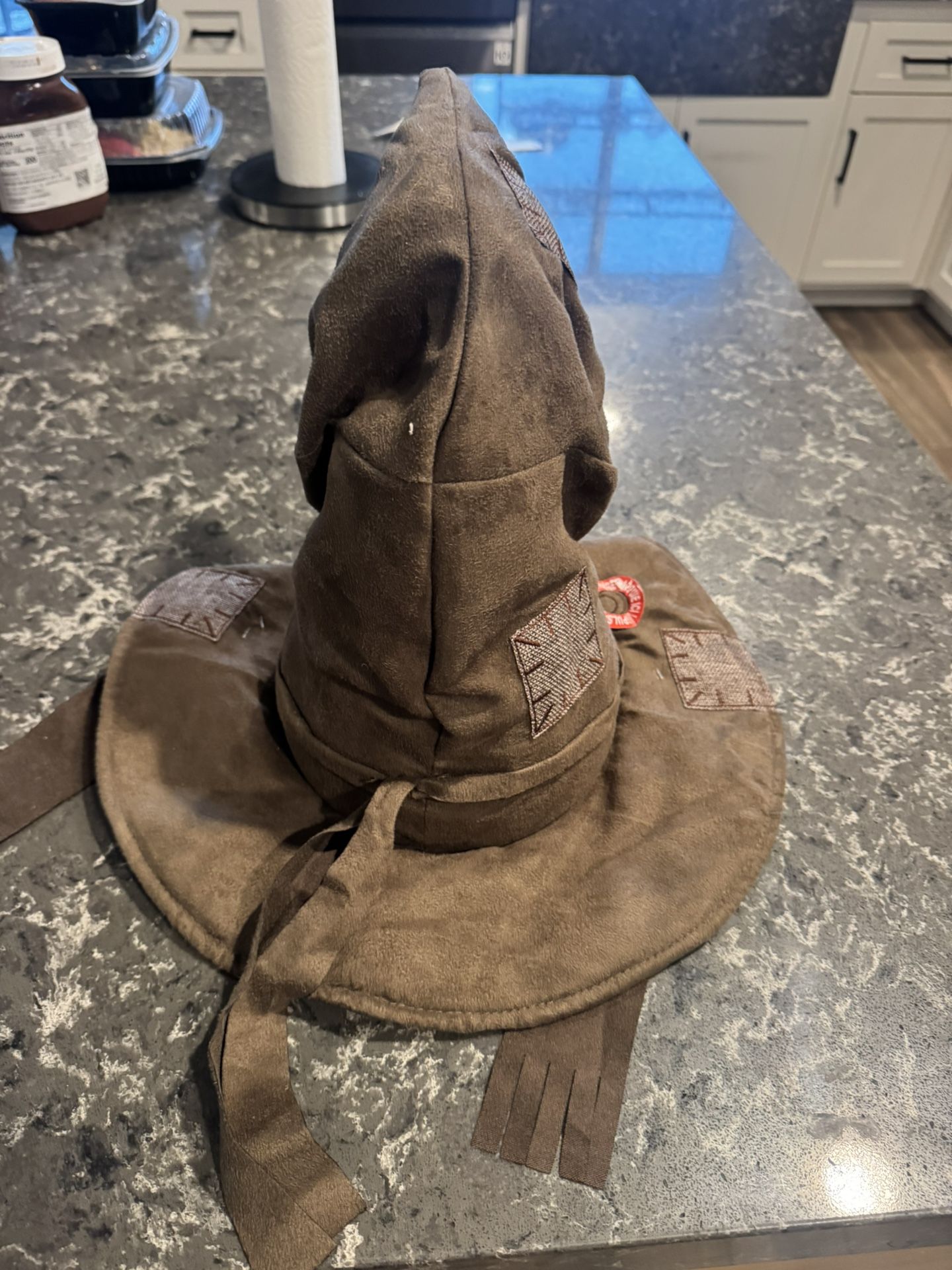Harry Potter Sorting Hat
