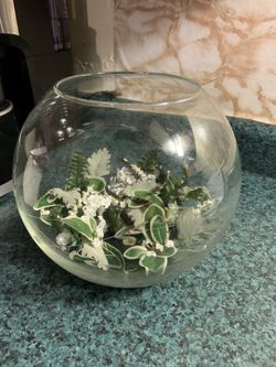 Fish. Bowl