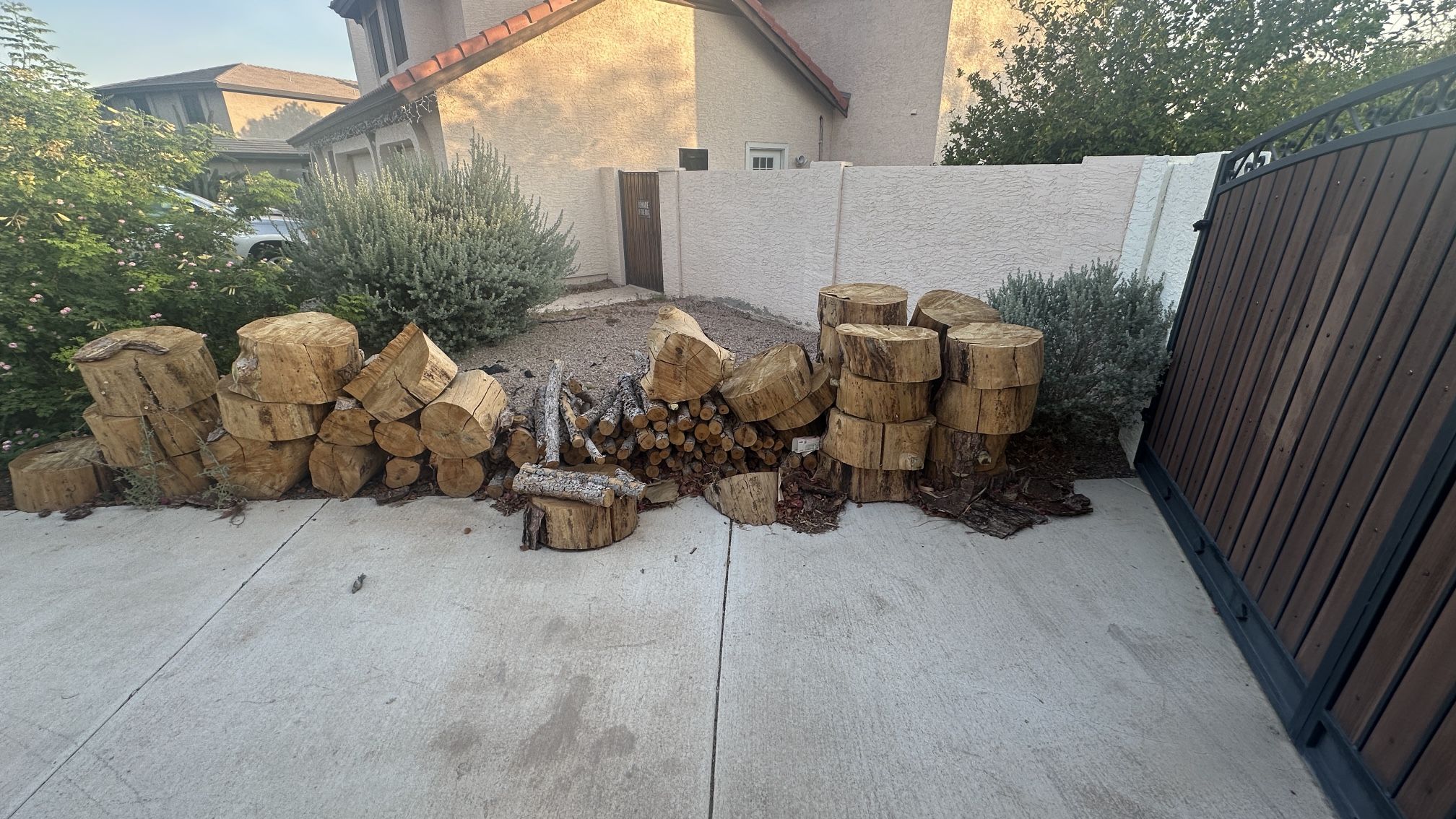 Firewood Logs