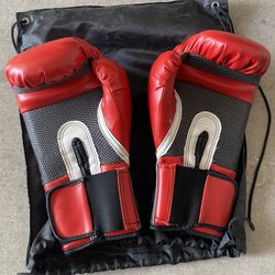12 Oz Boxing Gloves 