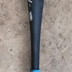Demarini EVO 2