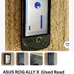 asus rog ally risen