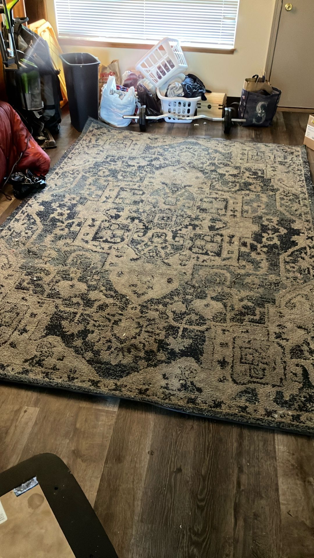 Beautiful 6x9 Carpet