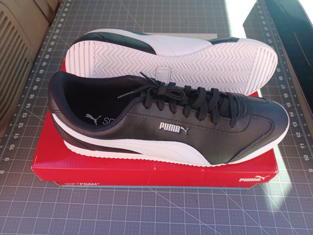 Pumas