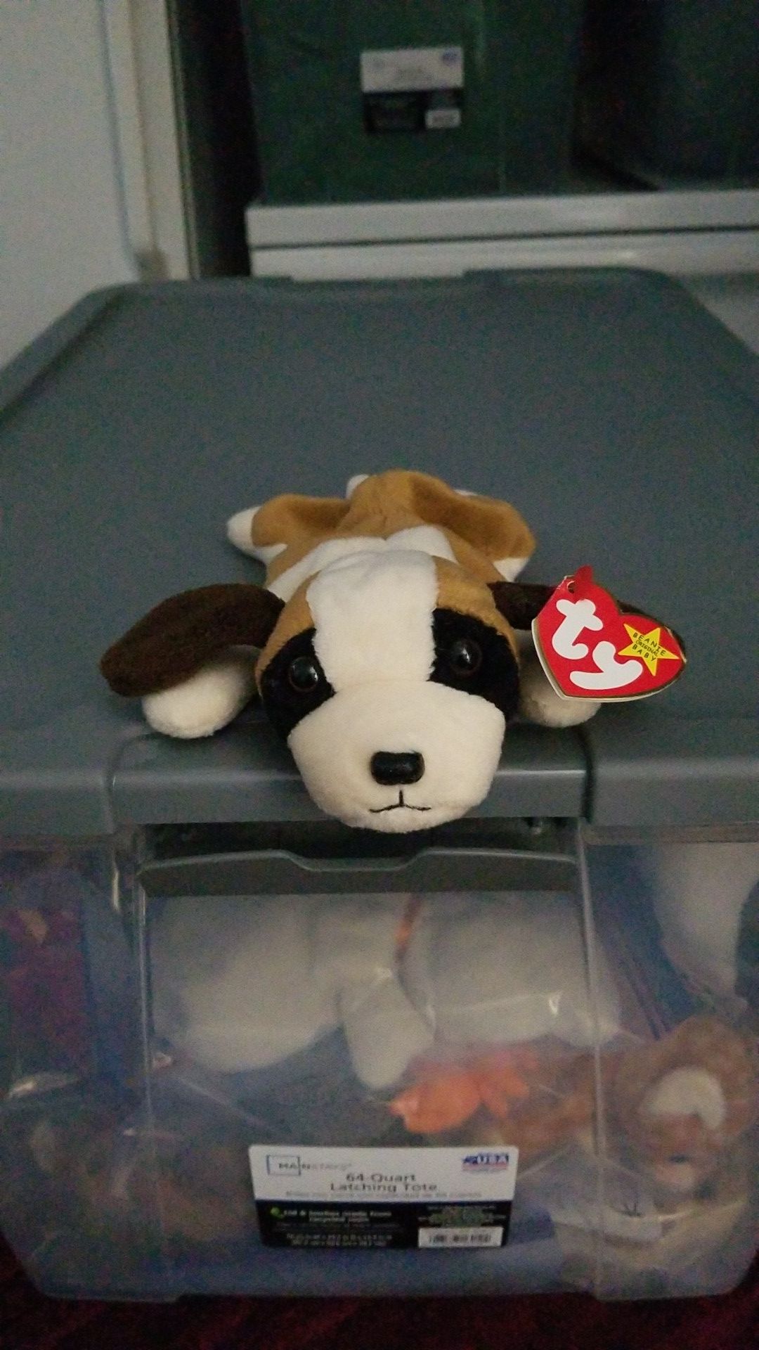 TY Beanie Babies "Bernie" Retired Rare Vintage