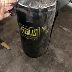 Everlast Punching Bag
