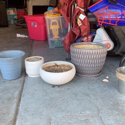 Plant Pots 