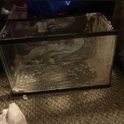 5 Gallon Fish Tank