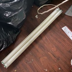 Large Plug In Light