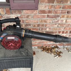 Gas Leaf Blower