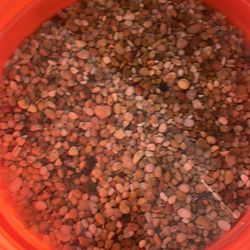 Gravel pebbles fish aquarium tank