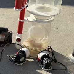 Saltwater Protein Skimmer
