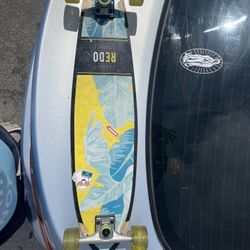 Redo Bright Palms San Diego Longboard 