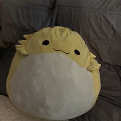 24 Inch Squishmallow