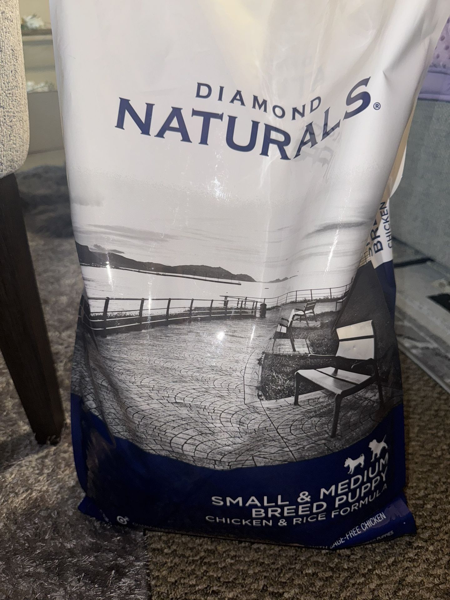 Dog Food Experaition Dec 2025