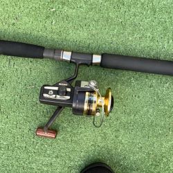 Fishing Rod & Reel