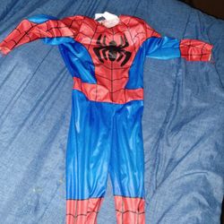  Spider Man 