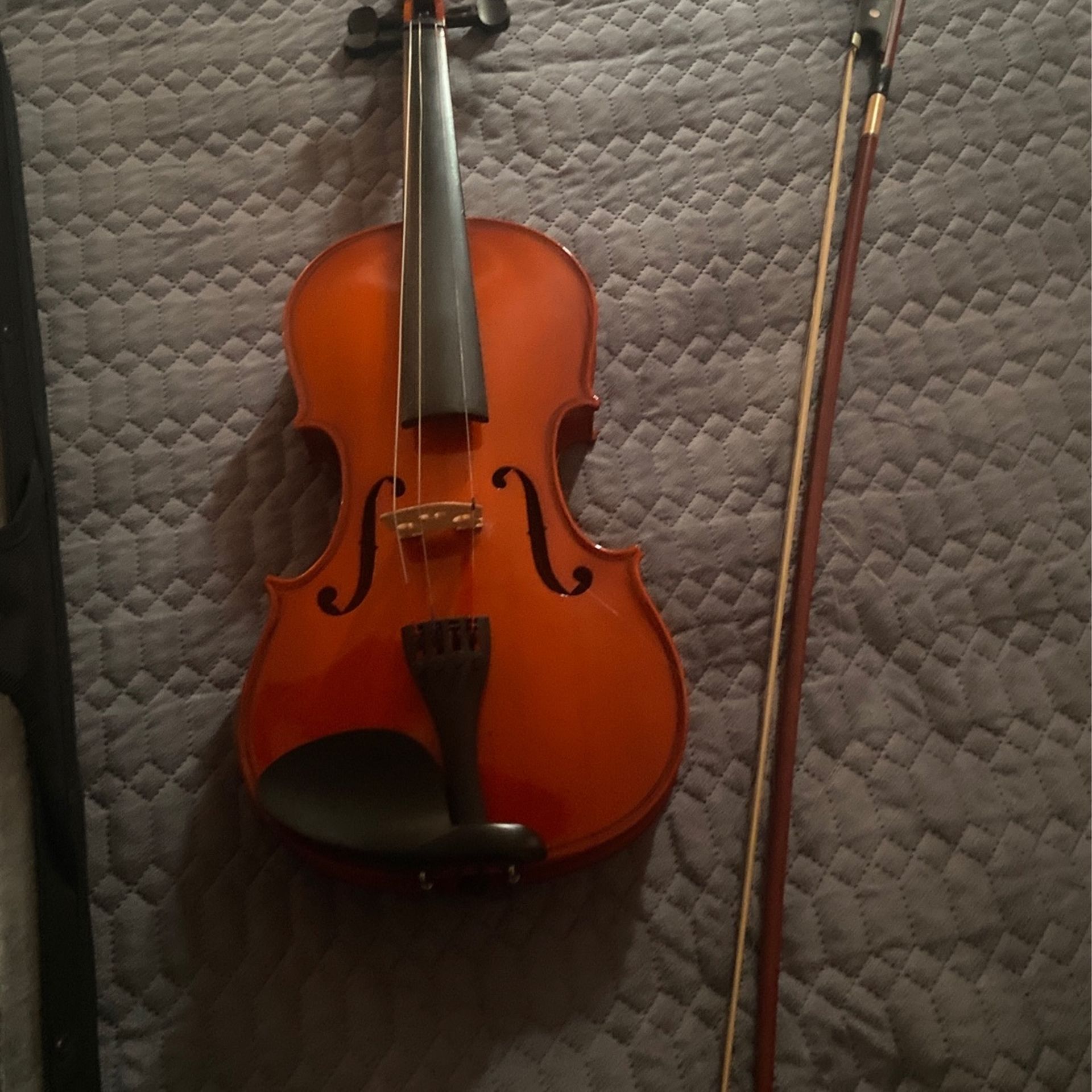 Violin