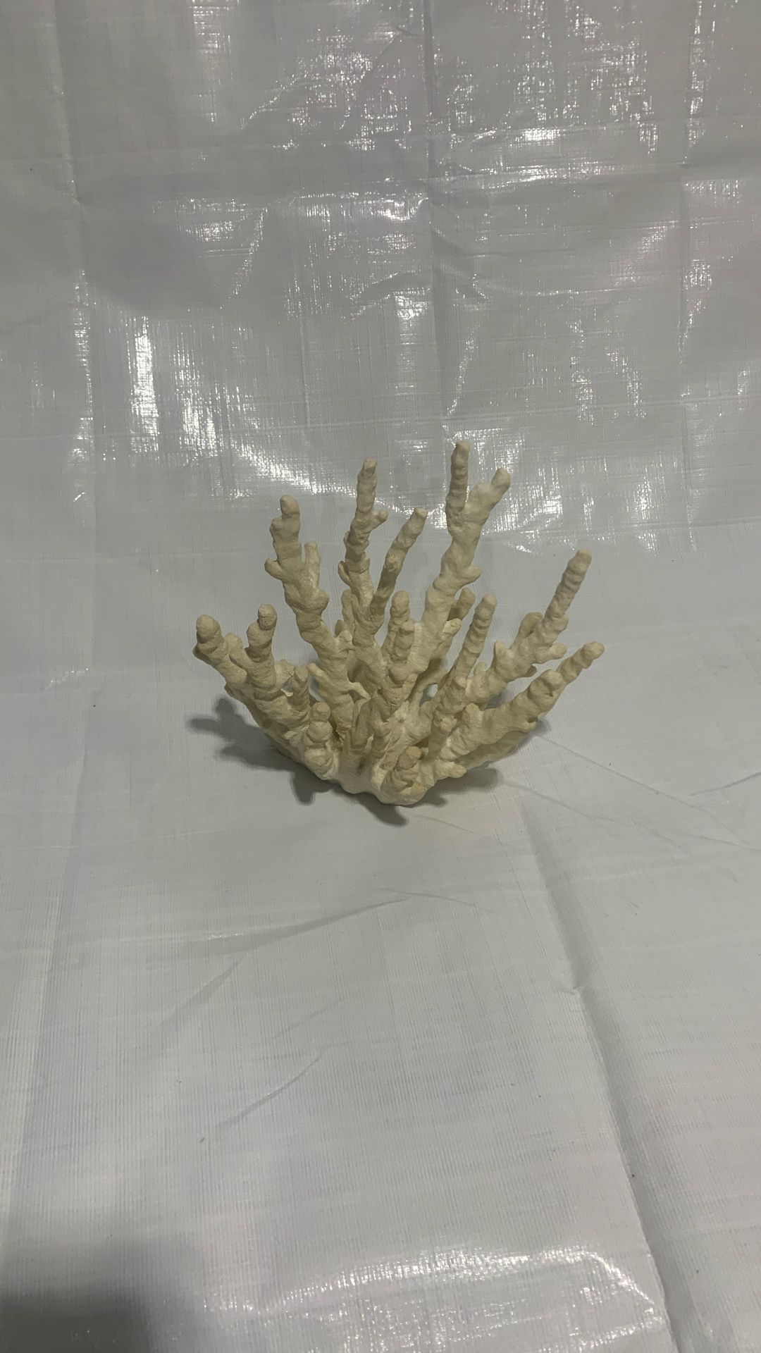 Decorative coral