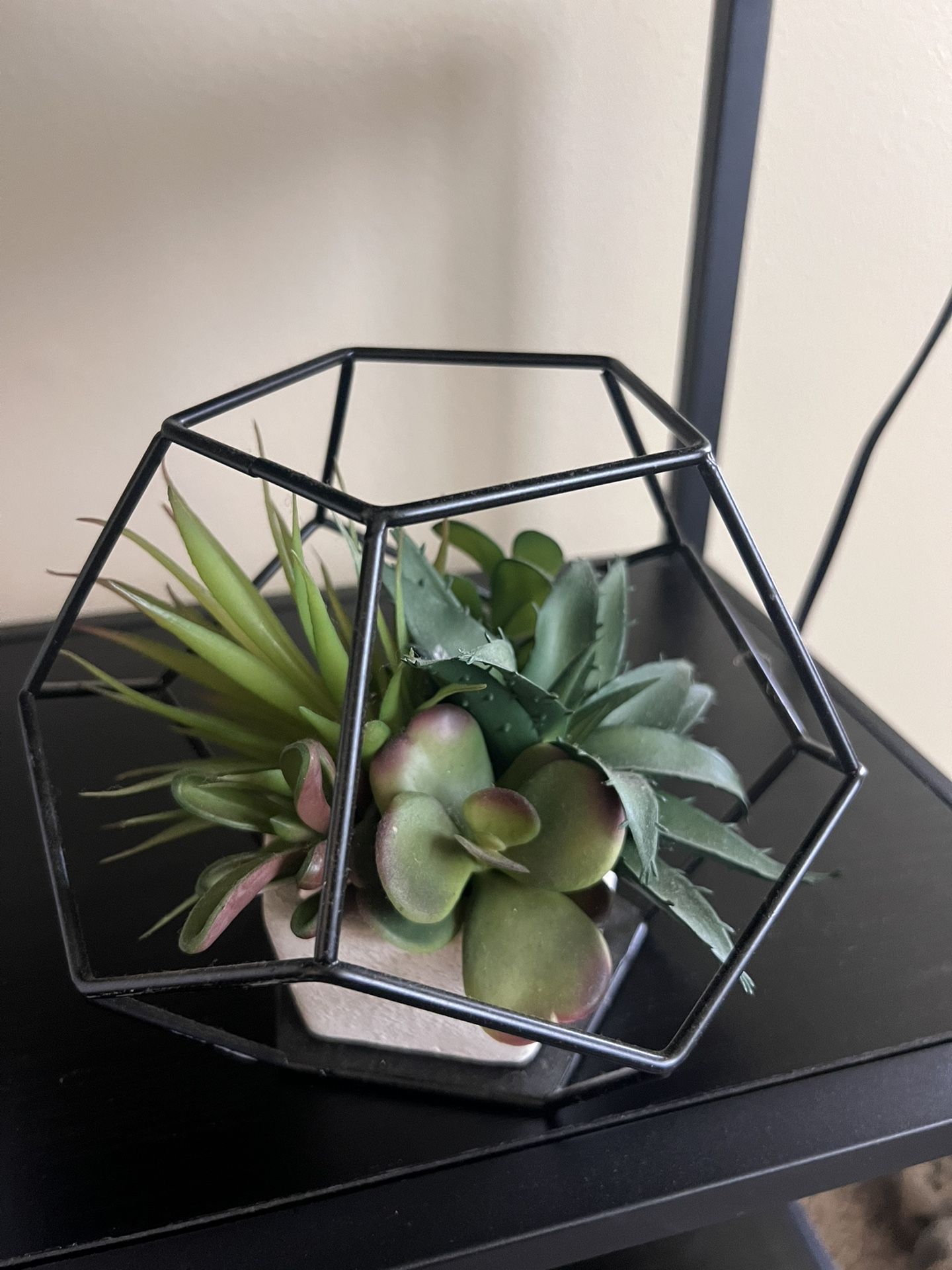 Fake Succulent