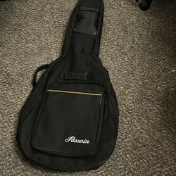 Guitar Case 