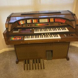  Organ