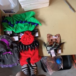 Small Dog Halloween Costumes 
