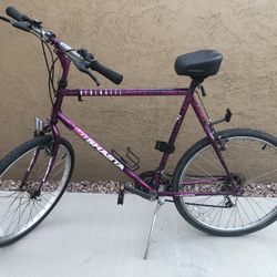 Shasta Serengeti 21-speed Bike