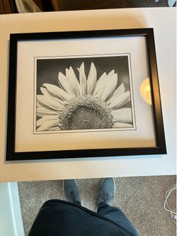 Sunflower picture set