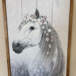 beautiful horse 