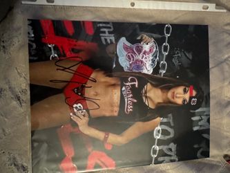 WWE Nikki Bella autograph