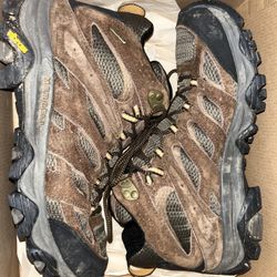Hiking Shoes