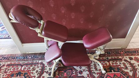 Dolphin II Professional Massage Chair for Masseuse