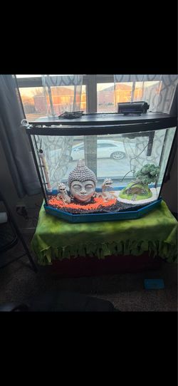 Fish tank fully filtered and water warmer fish included