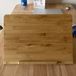 Lap Top stand (adjustable) 