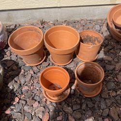 Flower Pots 