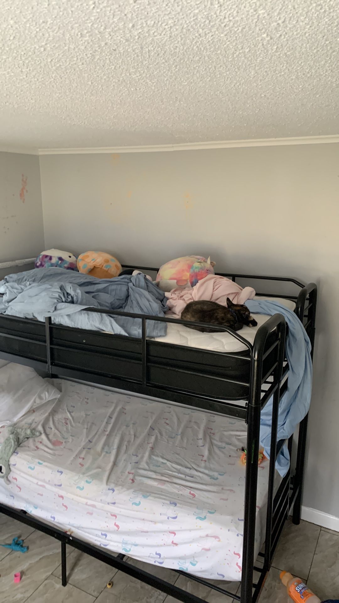 Twin Bunk bed ( no mattresses)