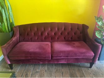 Velvet couch
