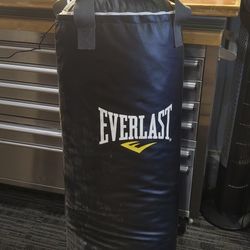 Everlast Boxing Punching  Bag And Gloves 