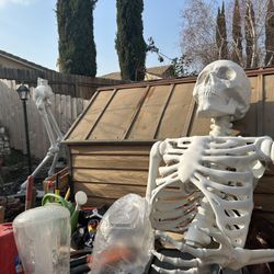 Haollween  And Nike Driver Left Hand 