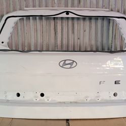 2024-2025 Hyundai Santa Fe Rear Liftgate Tailgate Shell OEM 